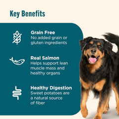 Nutrish dry dog food serving bowl ready for mealtime