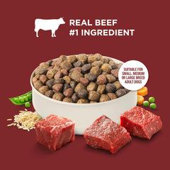 Nutrish Rachael Ray beef ingredients close-up highlighting real beef flavor