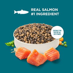 Nutrish Rachael Ray salmon kibble served in a bowl, happy mealtime