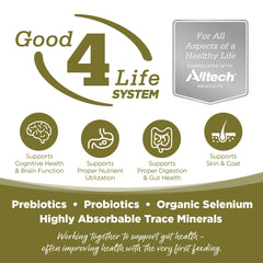 NutriSource Small Bites in a bowl; omega fatty acids support coat