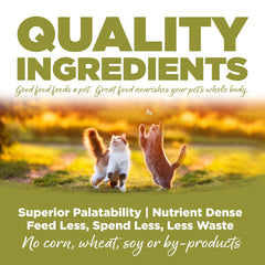 NutriSource cat food packaging on shelf highlighting 12lb bag