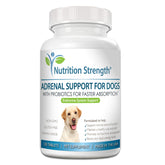 Nutrition Strength Adrenal Support for Dogs bottle with easy-to-administer chews for daily support.