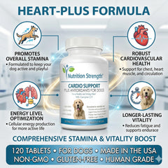 Nutrition Strength Cardio Support antioxidants visual emphasizing circulatory health support.