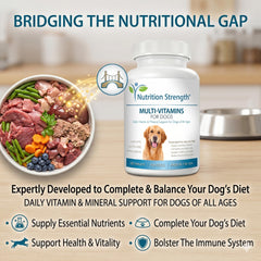 Nutrition Strength chewable texture close-up highlighting palatability.