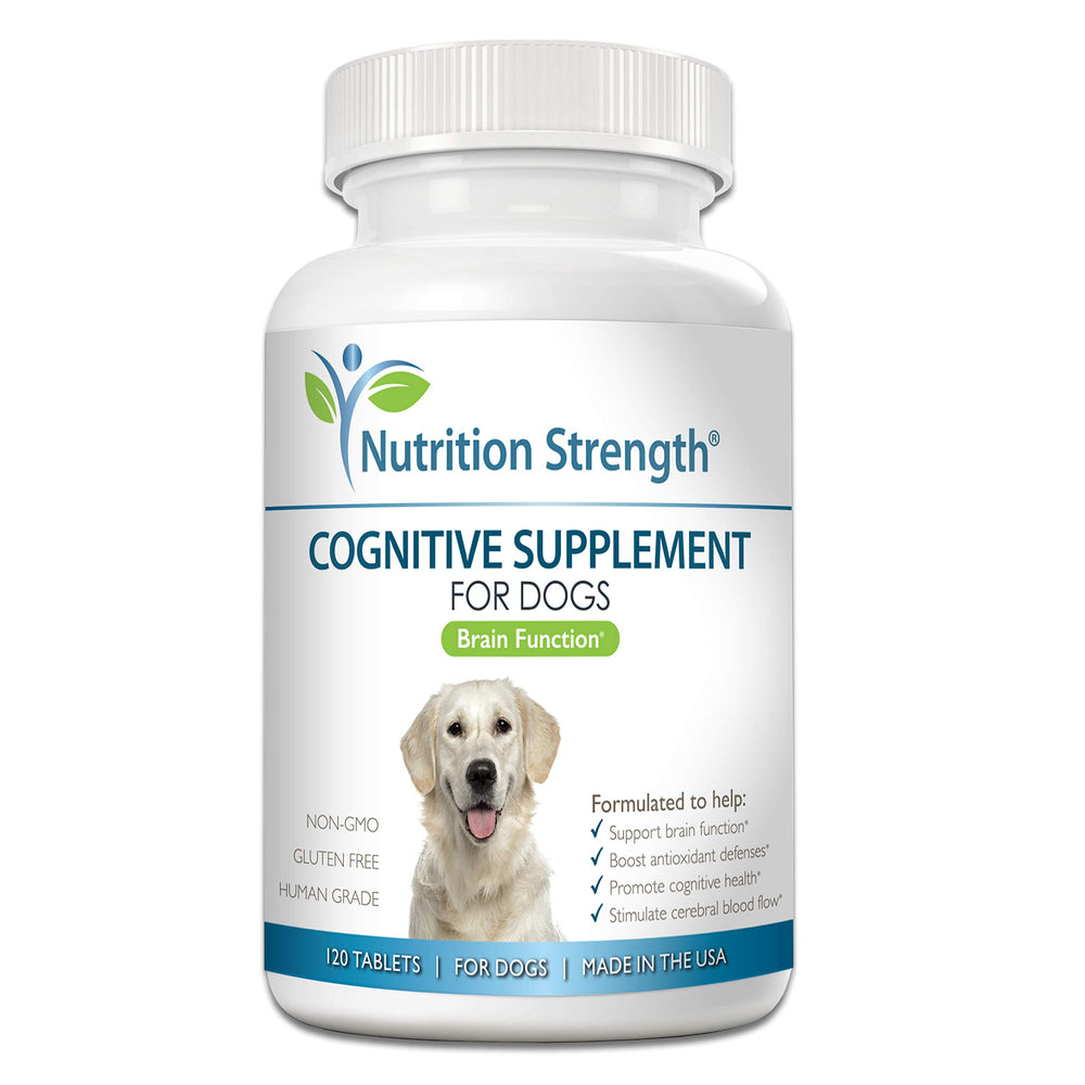 Nutrition Strength cognitive support for dogs bottle shows brain-boosting chews for aging pets