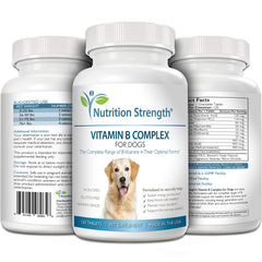 Nutrition Strength energy production support for dogs depicting chewables
