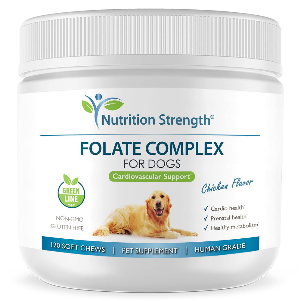 Nutrition Strength Folate soft chews for dogs in a dish, supporting red blood cell formation.