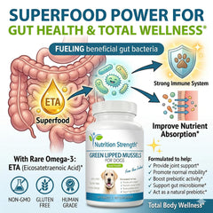 Dog enjoying Nutrition Strength GLM for potential joint comfort.