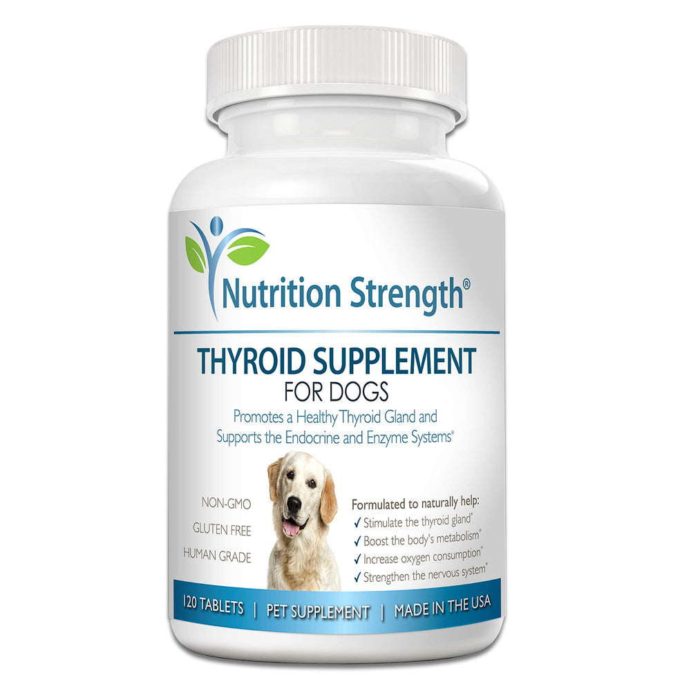 Nutrition Strength thyroid dog bottle pour shows easy-to-dispense chewables for pets.