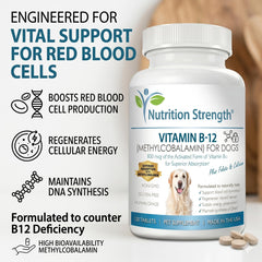 Nutrition Strength Vitamin B12 for Dogs closeup of canine nose during supplement intake.