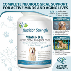 Nutrition Strength Vitamin B12 for Dogs chew tablets ready for daily energy support.
