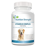 Nutrition Strength vitamin B for dogs tablets shown with a bowl, supporting daily wellness
