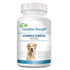 Nutrition Strength vitamin B for dogs tablets shown with a bowl, supporting daily wellness