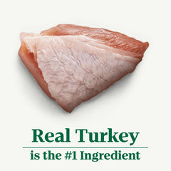 Nutro Hearty Stew green beans and turkey image for texture