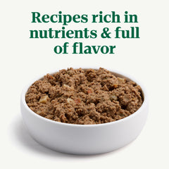 Nutro Natural Choice Loaf chicken serving, ready-to-serve wet dog dinner.
