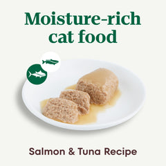Nutro wet cat food pate close-up showing real salmon and tuna