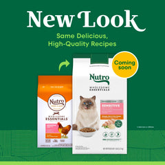Nutro Wholesome Essentials chicken ingredient closeup supports protein-rich nutrition with real chicken.