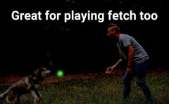NW Athletics durable glow-in-the-dark dog tennis ball built for regular play