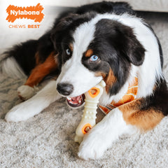 Nylabone all-natural chicken chews offer a highly digestible reward.