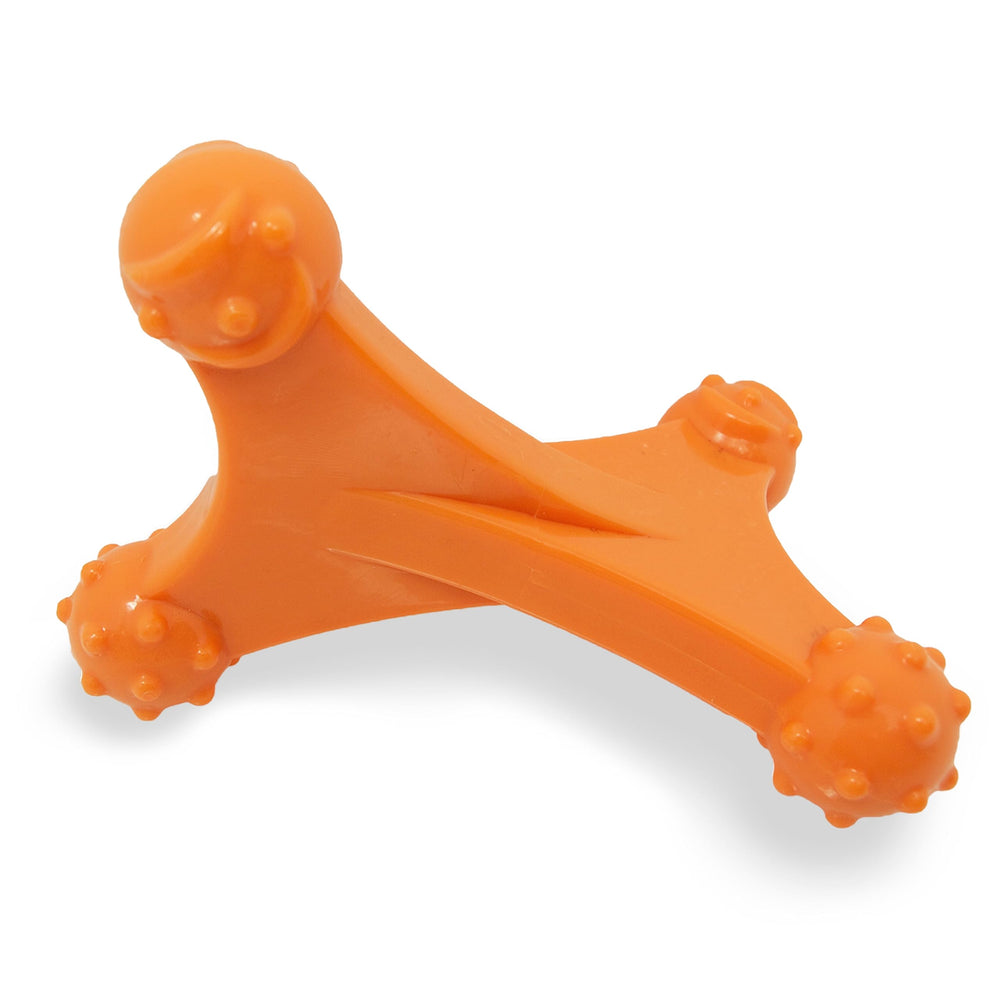 Nylabone Axis Bone three ends for easy chewing from any angle