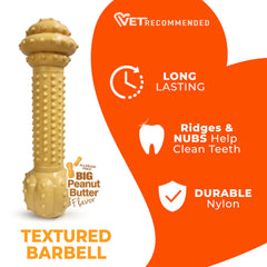 Nylabone Barbell Power Chew Toy designed for aggressive chewers to redirect chewing.