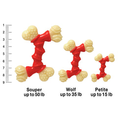 Nylabone Double Bone Power Chew Toy β bacon flavor throughout for engagement.
