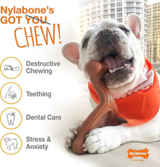 Nylabone giant size chew toy for dogs up to 50 pounds.