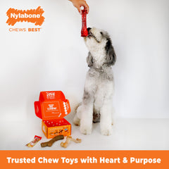 Nylabone Gourmet Style Stick Chew Toy with bark texture.