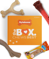 Nylabone Gourmet Style Wishbone Chew Toy for durable daily chewing.