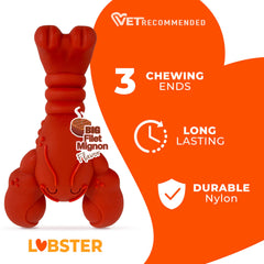 Nylabone Lobster-textured-surface helps clean teeth during chewing sessions.