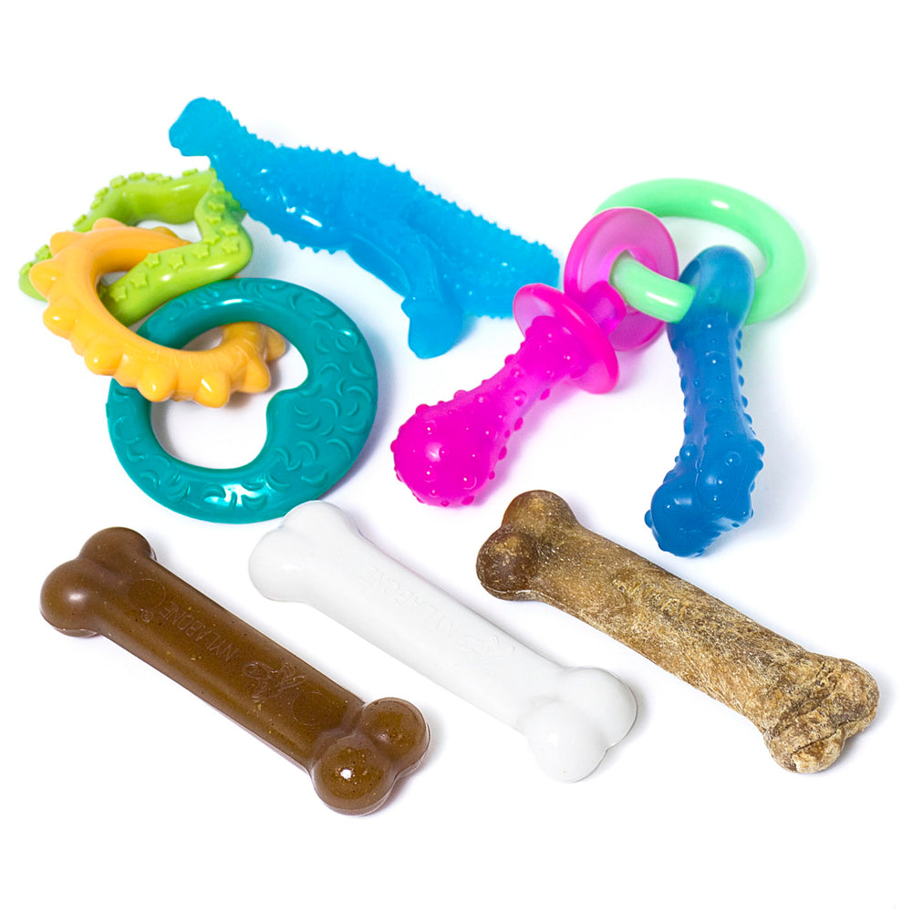 Nylabone New Puppy Starter Kit packaging shows a colorful bundle for teething and training.
