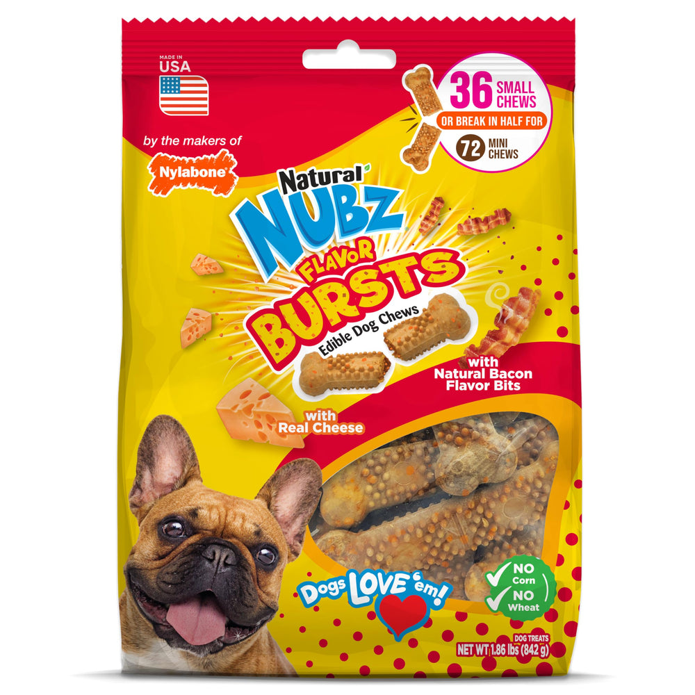 Nylabone Nubz bacon-cheese flavor burst for small dogs, engaging long-lasting chew.