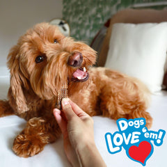Nylabone Nubz natural ingredients badge signals wholesome, trustworthy chew.