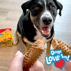 Nylabone Nubz textured surface designed for engaging chewing sessions.