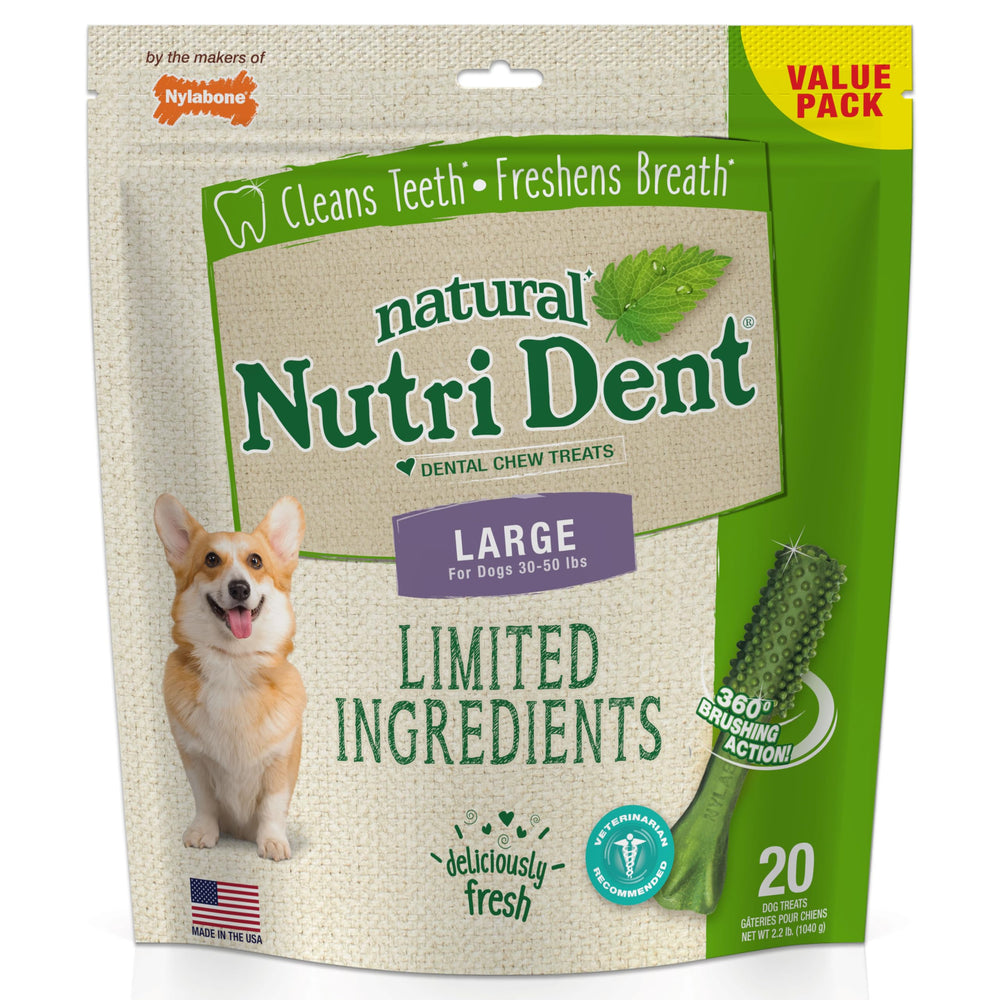 Nylabone Nutri Dent large pack front, durable chews supporting fresh breath