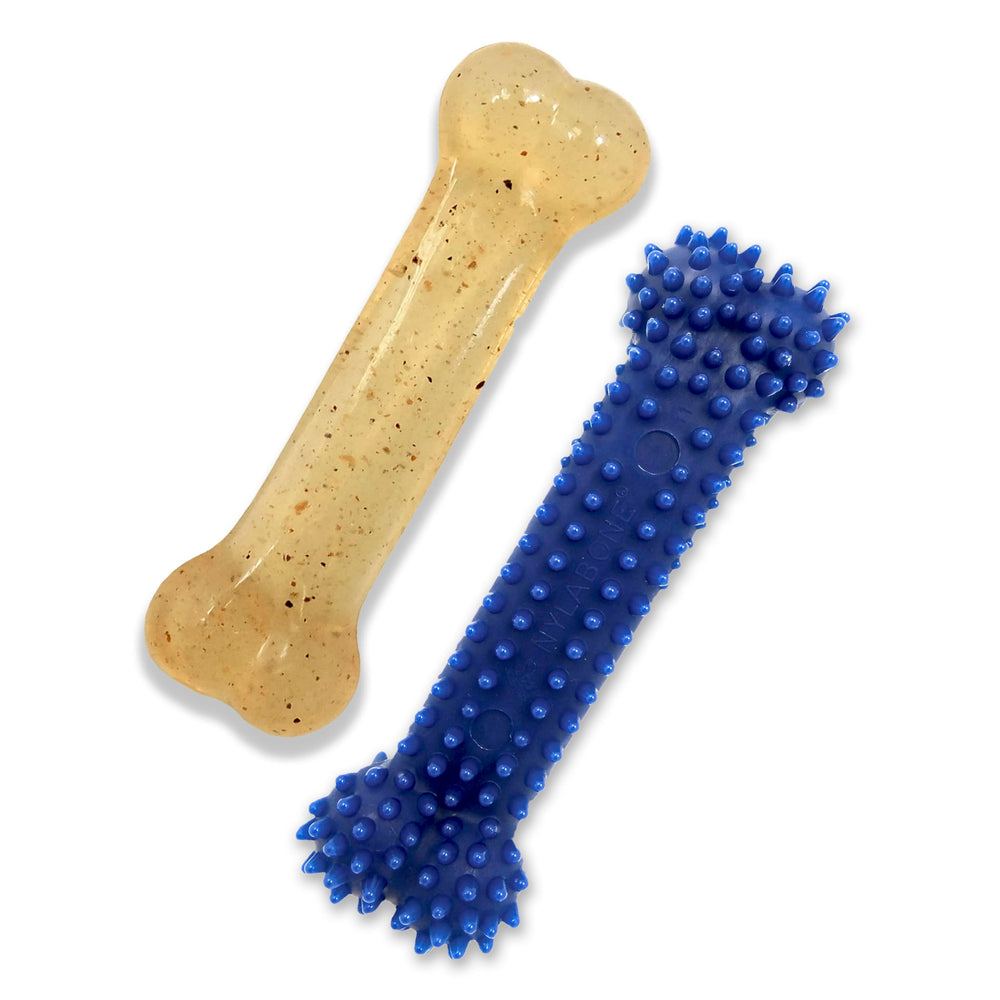 Nylabone Flexi Classic Shape toy, gentle on teeth for moderate chewers