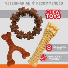 Nylabone Power Chew Bone in allergen-free peanut butter flavor for tasty chewing