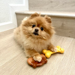 Nylabone Power Chew Bundle lobster chew toy arc view, three ends for extended chewing.