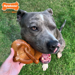 Nylabone Pretzel Power Chew easy-hold arch promotes comfortable grip.