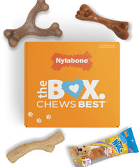 Nylabone Puppy Gift Box stick chew with bark texture for satisfying chewing