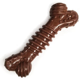 Nylabone Groove Bone with multi-textured ridges for teeth cleaning during chewing