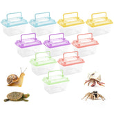 Nyuemystery 20-pack terrarium with lid for secure transport and observation