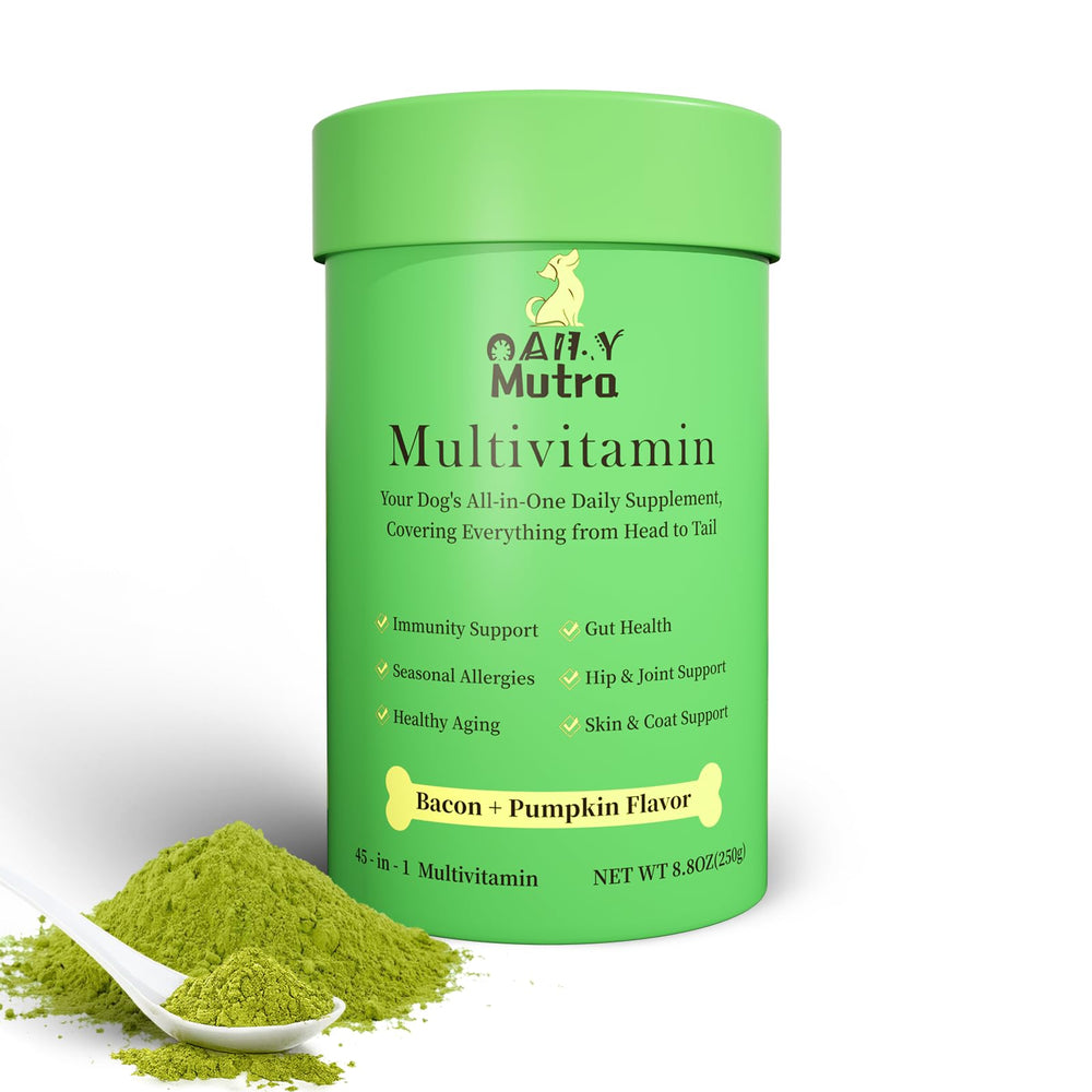OailyMutra dog multivitamin powder jar with scoop supports joint mobility and overall vitality.
