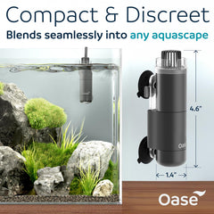 OASE CrystalSkim 350 collection basket safeguards shrimp while catching tiny particles.
