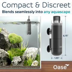OASE CrystalSkim 600 demonstrates quiet internal filtration.