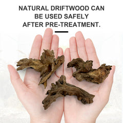 Obantrsz natural driftwood 4-inch piece provides a focal point