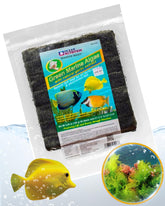 Ocean Nutrition Seaweed Select sheets stacked for easy herbivore feeding.