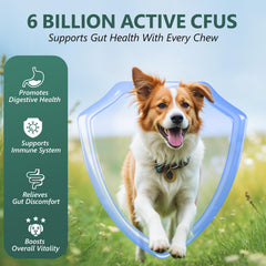 OcePor dog probiotics chews closeup showing soft texture and chicken flavor.