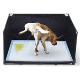 OCMML dog litter box with high walls to prevent spills, ideal for apartments