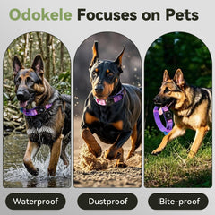 Odokele reinforced control handle on large collars for confident control.
